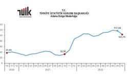 YURT DIŞI ÜRETİCİ FİYAT ENDEKSİ YILLIK %103,79, AYLIK %1,34 ARTTI