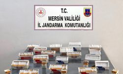 JANDARMADAN KAÇAK SİGARA ve MAKARON OPERASYONU