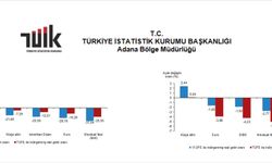 Aylık En Yüksek Reel Getiri Külçe Altında Oldu