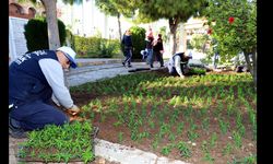 AKDENİZ’DE PARK, BAHÇE VE YEŞİL ALANLAR YENİLENİYOR