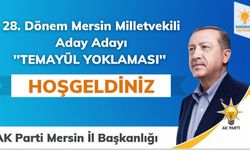 Ak Parti'de Temayül Yoklaması Yapılacak.