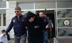 MERSİN EMNİYETİ DOLANDIRICILARI BANKADA YAKALADI