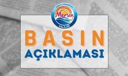 Valilikten Basın Açıklaması ve Suç Duyurusu