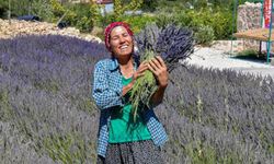 Binlerce Kadın Tarımla Buluşturuldu