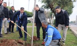 Başkan Vekili Şener, Çalışmaları Yerinde Denetledi