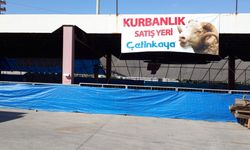 Çetinkaya’da Canlı Kurbanın Kilosu 350.-TL