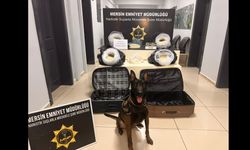 58 Kilo 310 Gram Captagon Ele Geçirildi