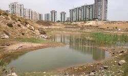 Gölet Alanında Islah Çalışmalarına Başlandı