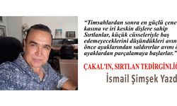 ÇAKAL’IN, SIRTLAN TEDİRGİNLİĞİ…
