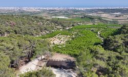 Emirler Orman Parkı Piknik Alanı’nda Ateş Yakmak Yasaklandı