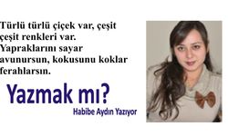 Yazmak mı?