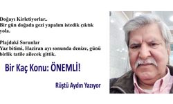 Bir kaç konu: önemli!