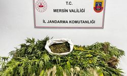 “JANDARMADAN  OPERASYON”