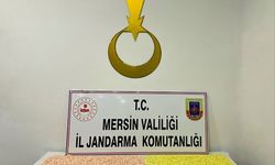 Jandarmadan Uyuşturucu Operasyonu