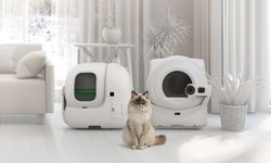 Evinizde Kedi Varsa... hijyen ve konfor için yeni nesil çözümler
