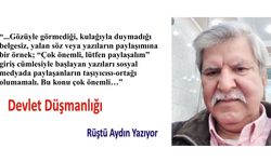 Devlet Düşmanlığı