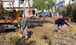 Toroslar Belediyesinden Ağaçlara Kış Bakımı