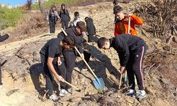 Anamur’da 11 Kasım Milli Ağaçlandırma Günü Seferberliği Devam Ediyor