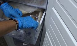 DOLANDIRDIKLARI DÖVİZİ DERİN DONDURUCUDA SAKLADILAR