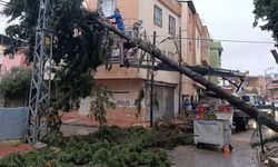 Akdeniz Belediyesi Yağışla Mücadelesini Gün Boyu Sürdürdü