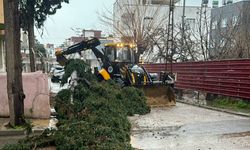 Yenişehir Belediyesi fırtınaya karşı seferber oldu!