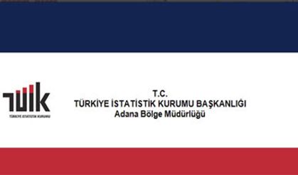 TÜİK: "Aylık en yüksek reel getiri külçe altında oldu"