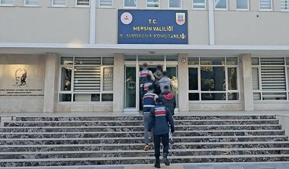 Jandarmadan Operasyon (4) Tutuklu