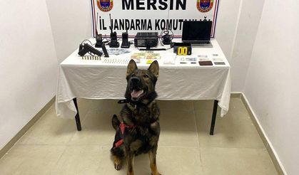 Jandarmadan madde operasyonu