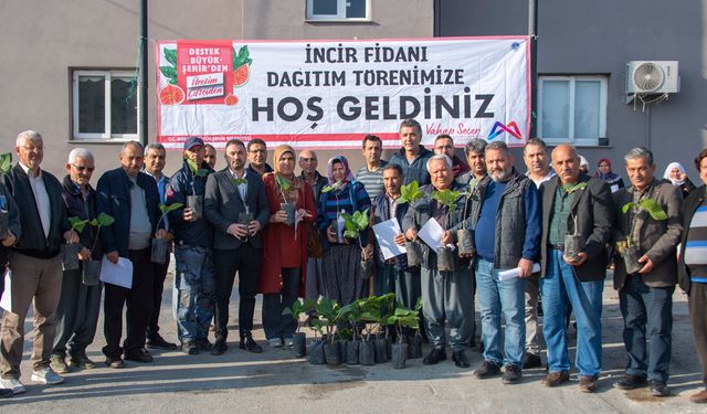 BÜYÜKŞEHİR’DEN ÜRETİCİLERE ‘İNCİR FİDANI’ DESTEĞİ