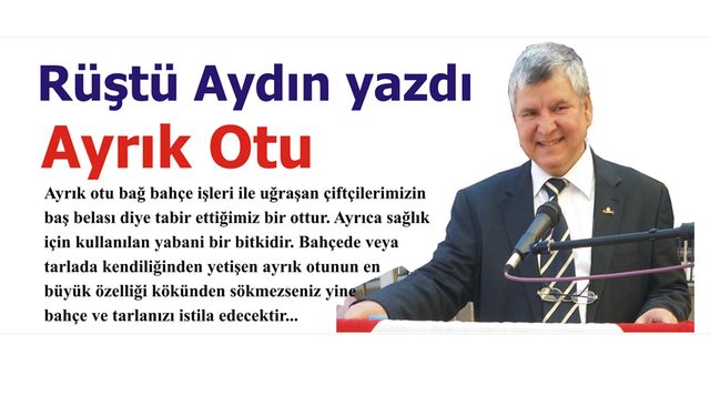 Ayrık Otu