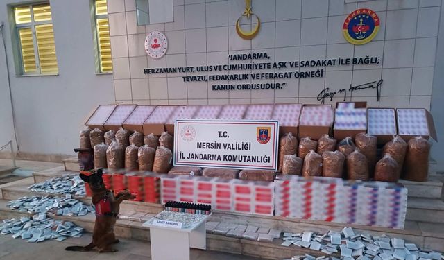 Şüpheli Şahıs Yakalanarak Gözaltına Alındı