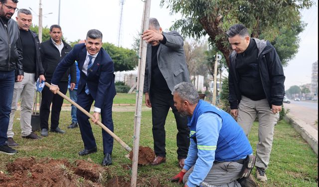 Başkan Vekili Şener, Çalışmaları Yerinde Denetledi