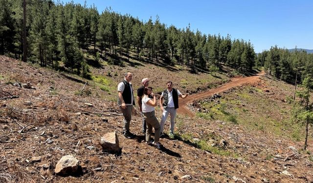 2025 Yılı Tabi Gençleştirme Sahaları Kontrol Edildi