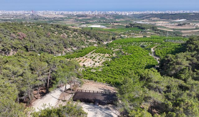 Emirler Orman Parkı Piknik Alanı’nda Ateş Yakmak Yasaklandı