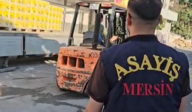 Nakliyede Dolandırıcılarına Mersin Polisinden Operasyon