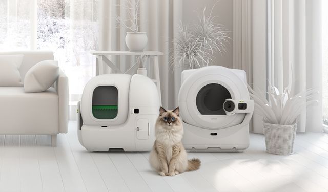 Evinizde Kedi Varsa... hijyen ve konfor için yeni nesil çözümler