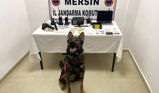 Jandarmadan madde operasyonu