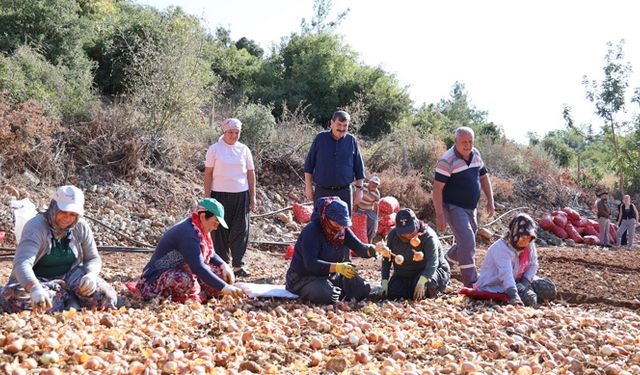 Başkan Yıldız, “Kadın Eli Ve Emeği Çok Kıymetli”