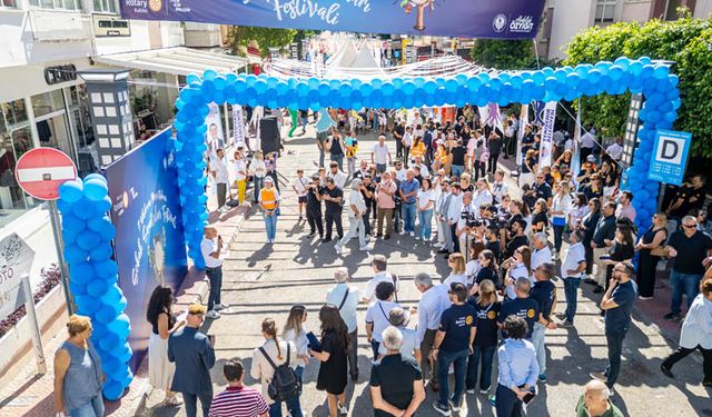 Yenişehir sokak sanatçıları festivaliyle renklendi