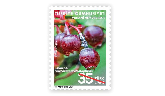 PTT'den “Yabani Meyveler-4” Konulu Resmî Posta Pulu