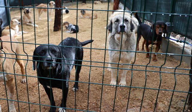 Belediyelere ek bütçe verilmeli