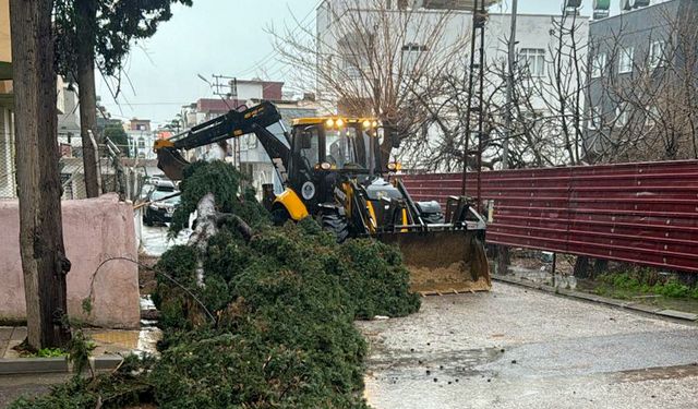 Yenişehir Belediyesi fırtınaya karşı seferber oldu!