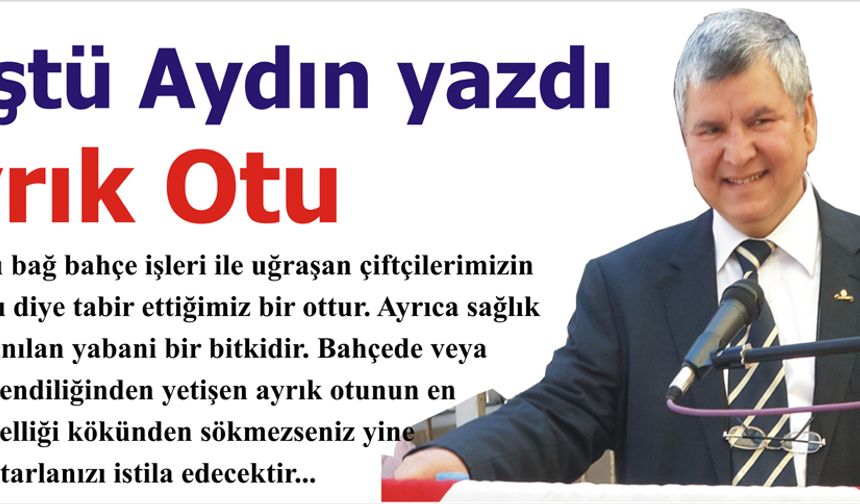 Ayrık Otu