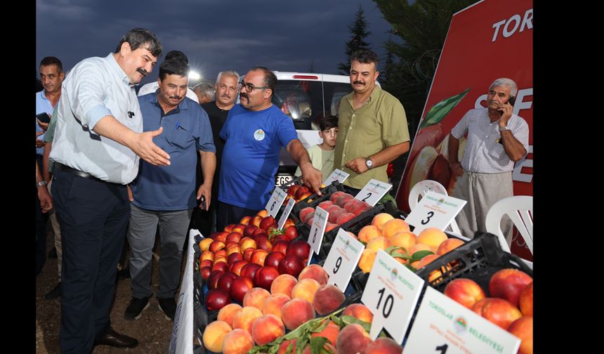 Güzelyayla’da Şeftali Festivali Düzenlendi