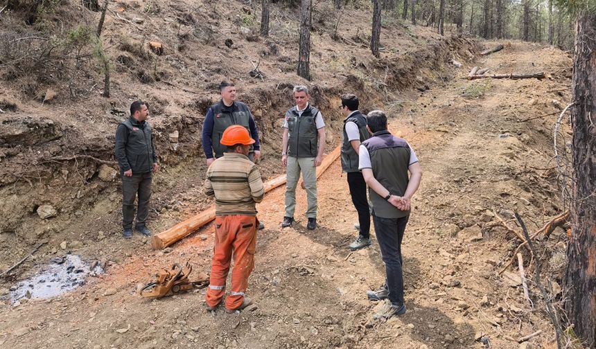Orman Bölge Müdürü Ataş, Mut’ta İncelemelerde Bulundu