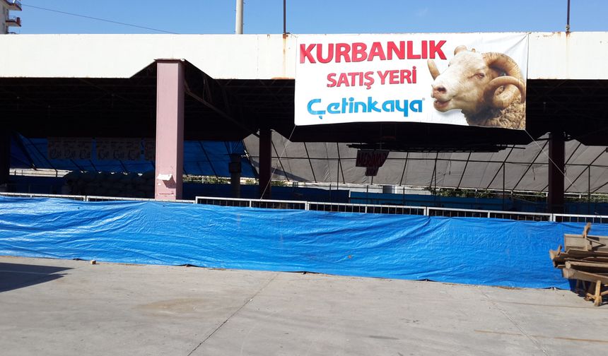Çetinkaya’da Canlı Kurbanın Kilosu 350.-TL