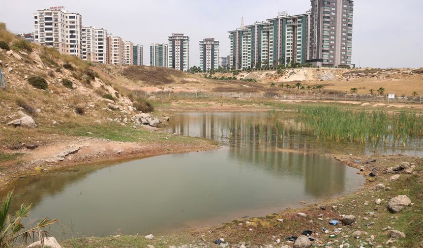 Gölet Alanında Islah Çalışmalarına Başlandı