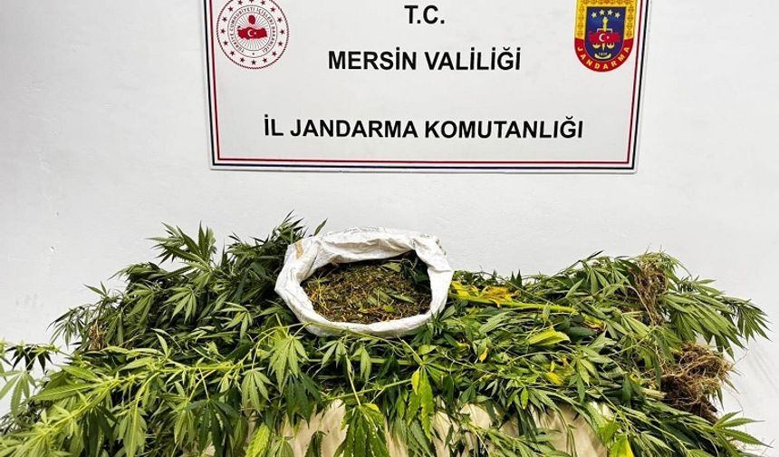 “JANDARMADAN  OPERASYON”