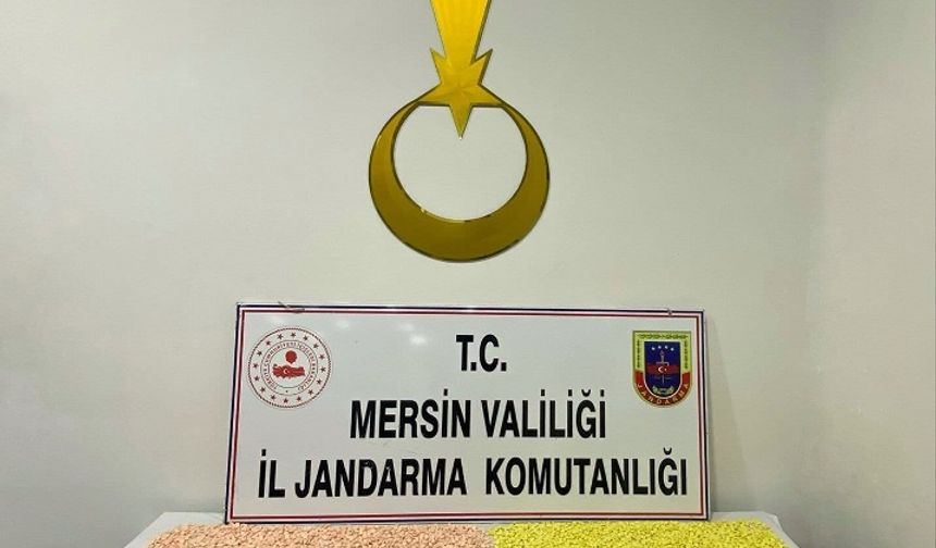 Jandarmadan Uyuşturucu Operasyonu