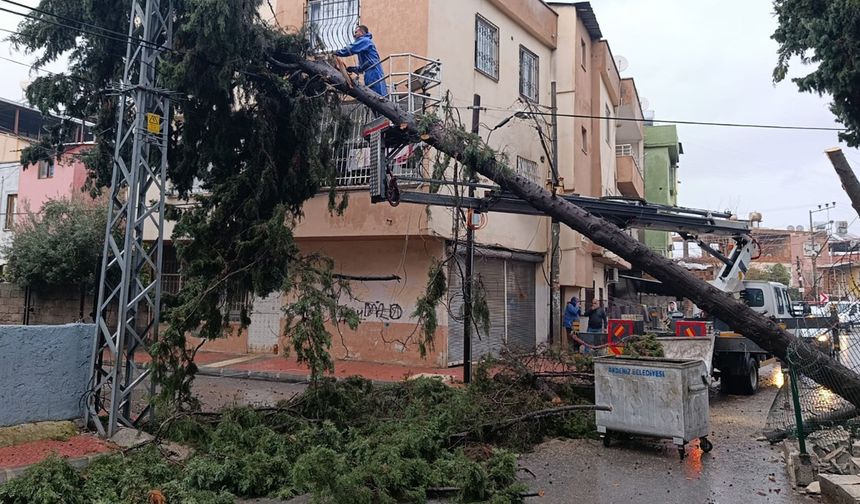 Akdeniz Belediyesi Yağışla Mücadelesini Gün Boyu Sürdürdü